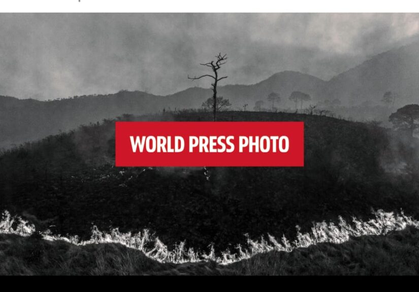 world press photo
