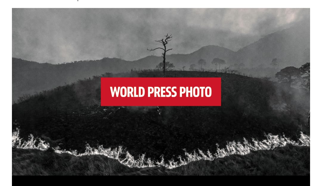world press photo